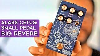 Alabs Cetus - super lush & affordable reverb pedal (with Reface DX synthesizer)