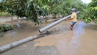 Quá trình bơm cát san lấp ao vườn xoài ở miền Tây/Pumping sand to level the mango orchard pond