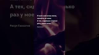 Мой огонь - цитата Короткие Цитаты Про жизнь Со Смыслом #цитати #цитаты #цитатадня #прожизнь #тост