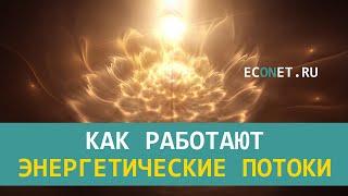 Как работают энергетические потоки | ECONET.RU