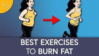 The Top Exercises for Burning Fat