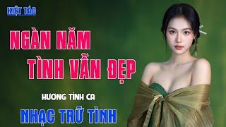 Top 15 Nhạc Trữ Tình Bolero Đi Vào Lòng Người Càng Nghe Càng Nghiện