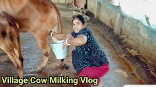 Cow Milk By Hand Village Girl | Village  Cow Milking Vlog