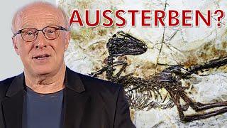 Drei Gründe auszusterben (Was uns Dinosaurier lehren) | Astrophysik & Kosmologie #40