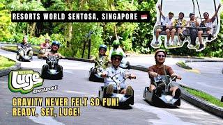 SKYLINE LUGE SINGAPORE  | Vlog #230