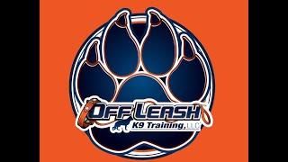 OLK9 Spokane Facility Tour | Off Leash K9 Training Spokane/CDA | Best Dog Training