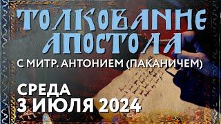 Среда, 3 июля 2024 года. Толкование Апостола с митр. Антонием (Паканичем).