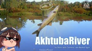 (Russian Fishing 4) Akhtuba Oh So Slowly Current Short-Head Barbel Spot! Test Your Patience in Here!