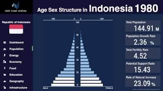 Indonesia - Changing of Population Pyramid & Demographics (1950-2100)