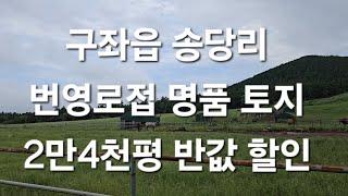 제주시 구좌읍 송당리 번영로접 명품토지 2만4천평 반값 할인 010 4436 0401 제주도 부동산 토지매매 급매물