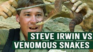 Steve Irwin's Close Encounters With Deadly Snakes