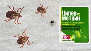 Циперметрин 25% от клещей. Проверка эффективности раствора в разведении 0,25 и 0,5%