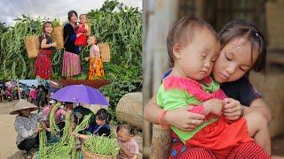 The Life of a 17-Year-Old Single Mother - Harvesting Long Beans Fruit, Corn Drying And Cooking