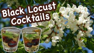 Black Locust Gin Cocktails