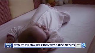 Study may help identify SIDS cause