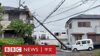 颱風「珊珊」橫掃日本九州 近百人受傷 － BBC News 中文