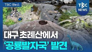 초례산 공룡 발자국은 9600만 년 전 조각류ㅣTBC뉴스