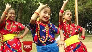 Chameliko Phoolma | Choreographey by : Sandesh  ranapal :The swag Dance Academy