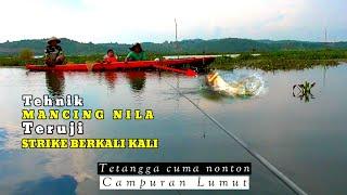 Tehnik MANCING NILA STRIKE BERKALI KALI | Campuran Lumut