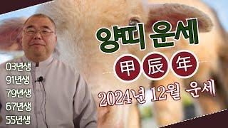 2024년 12월 양띠 도화살의 달?! 소통과 공감이 중요한데..ㅣ갑진년 양띠운세 03년생 91년생 79년생 67년생 55년생