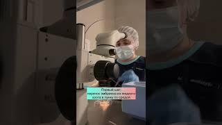 Разморозка эмбрионов в ЭКО Виталис