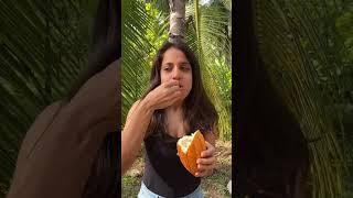 Trying Chocolate Fruit  | Eating Raw Cocoa Fruit | So Saute #shorts