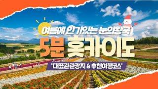 '홋카이도(北海道)'의 모든것! 여름에 인기있는 눈의 왕국 ＃북해도 ＃5분정리 ＃홋카이도여행 ＃입문자 ＃대표관광지 ＃추천코스 ＃여행상인