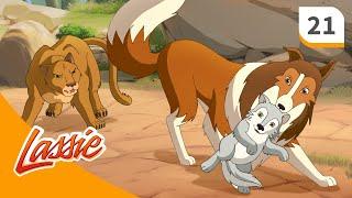 Lassie - Season 1 - Episode 21 - Momma Zoe - FULL EPISODE