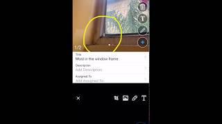 Audit Anything App Preview
