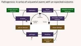 Introduction to Pathophysiology