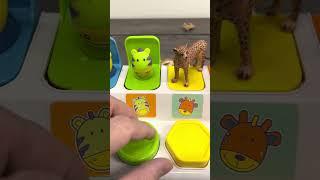 Cheetah Toys on a Pop Up
