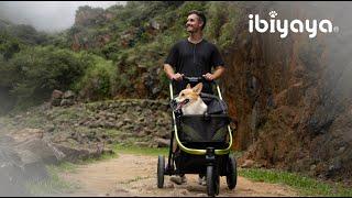 The ultimate sporty stroller for you to run with your dog ｜The Beast Pet Jogging Stroller