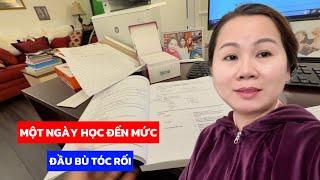 Vật Vã Với Việc Học Bằng Mua Bán Nhà Đất, Một Ngày Chỉ Quay Quanh Việt Học Và Học Của Vợ Việt