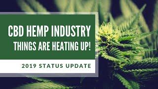 2019 CBD LAWS UPDATE - WHAT HAS CHANGED?