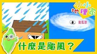 【什麼是颱風？】認識台灣_小小地理家 第21集｜知識｜文化｜教育｜兒童節目