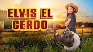 ELVIS EL CERDO | HD | PELICULA FAMILIA EN ESPANOL LATINO