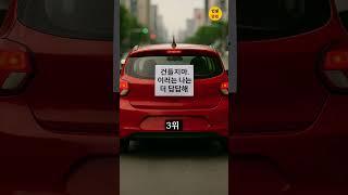 초보 운전 스티커 레전드 ㅋㅋ