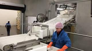 Frozen Atlantic Mackerel(Scomber Scombrus) Processing From Norway Hansson Fishing AS Grade A