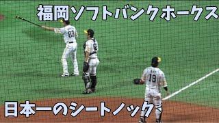 外野陣が本気モード‼️リーグ制覇へ死角なしの守備力披露 ソフトバンクホークスシートノック（フルver.）2024.8.11️PayPayドームより