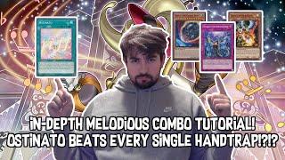 In-Depth MELODIOUS COMBO TUTORIAL! BEAT EVERY HANDTRAP with ONLY OSTINATO! [post LEDE] Yu-Gi-Oh!