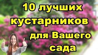 10 потрясающих кустов для Вашего сада.