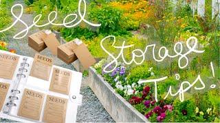 EASY SEED STORAGE/ORGANIZING TIPS 2023! BUDGET FRIENDLY ‍🪴🫘🫛