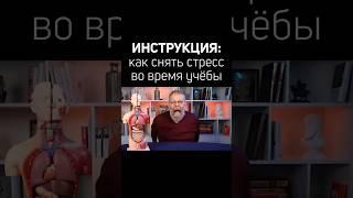 Попробуйте во время лекции 
