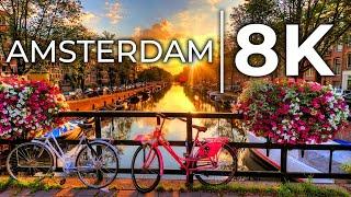 Amsterdam 8K ULTRA HD HDR 60 FPS Netherlands - Coniferous Perched