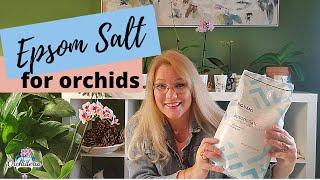 5 Reasons Why Epsom Salt Perfect for Orchids