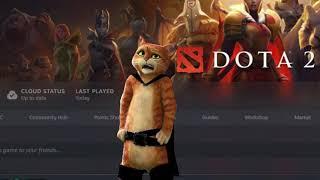 "How many hours do you have on DOTA 2?"