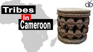 Major ethnic groups in Cameroon and their peculiarities