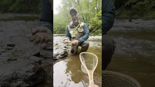 Little trout with Mr. Mike! #fishing #flyfishing #troutfishing