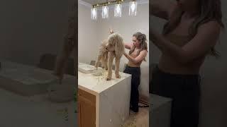 She was yummy #dog #humor #doodle #funny #funnyvideos #doglife #yummy #laugh #fun #honey #shorts