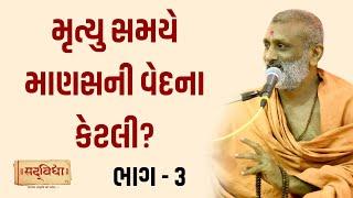 મૃત્યુ સમયે માણસ ની વેદના કેટલી? Part -03 | Pu. Hariswarup Swami | Sadvidya TV